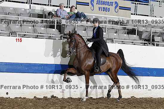 Proof Number 10r13_0935