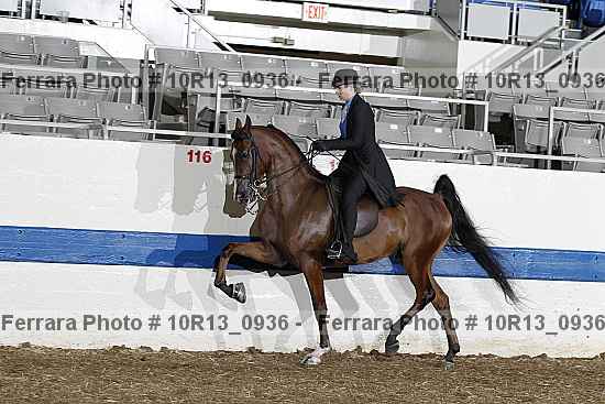 Proof Number 10r13_0936