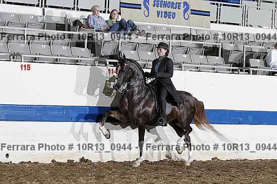 Proof Number 10r13_0944