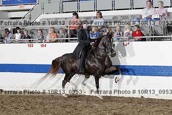 Proof Number 10r13_0953