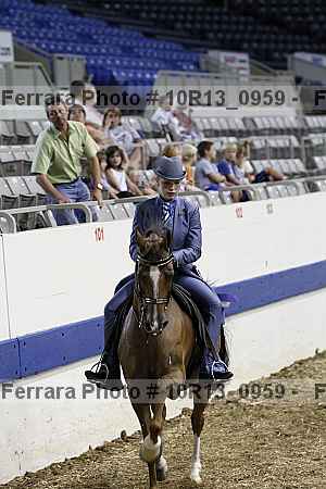 Proof Number 10r13_0959