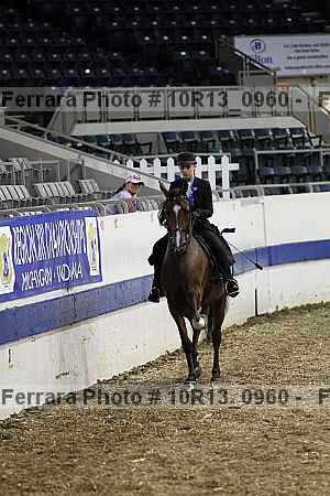 Proof Number 10r13_0960