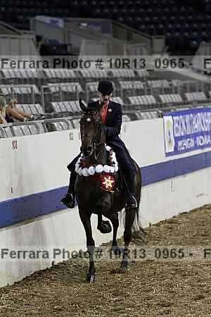 Proof Number 10r13_0965