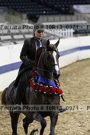 Proof Number 10r13_0971