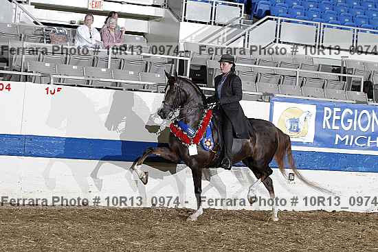 Proof Number 10r13_0974