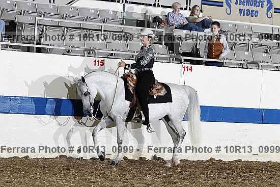 Proof Number 10r13_0999