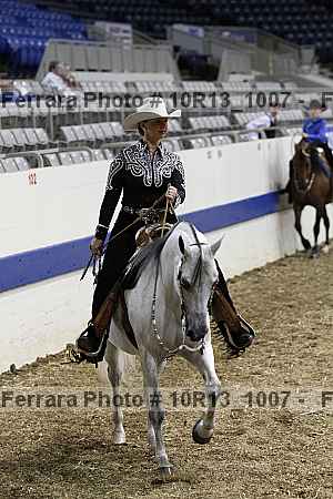 Proof Number 10r13_1007