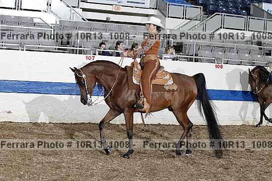 Proof Number 10r13_1008