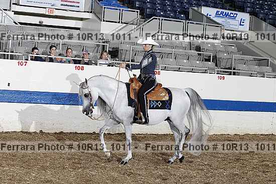 Proof Number 10r13_1011