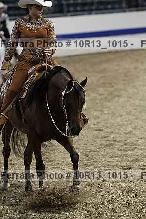 Proof Number 10r13_1015