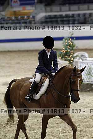 Proof Number 10r13_1032