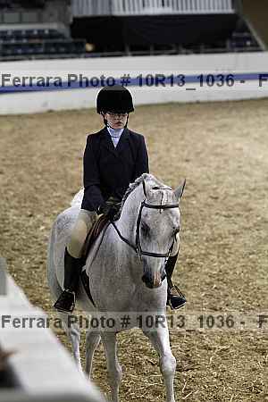 Proof Number 10r13_1036