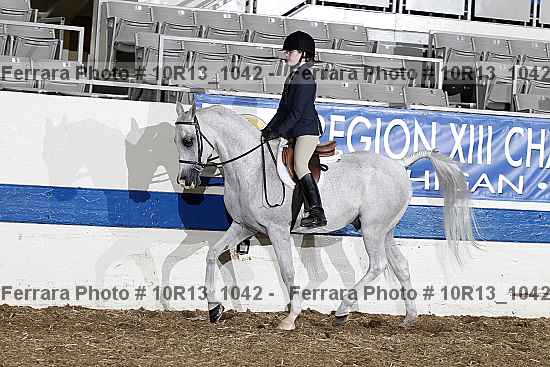 Proof Number 10r13_1042