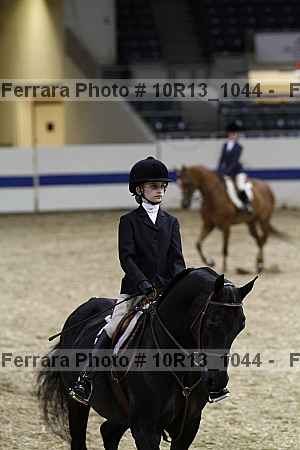 Proof Number 10r13_1044