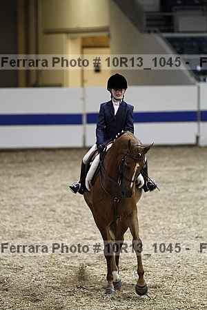 Proof Number 10r13_1045