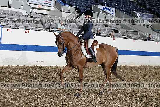 Proof Number 10r13_1050