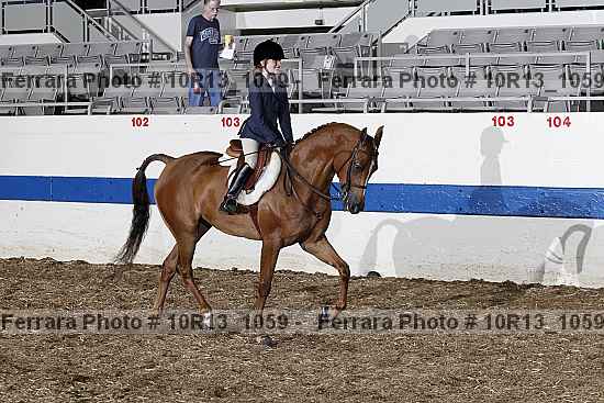 Proof Number 10r13_1059