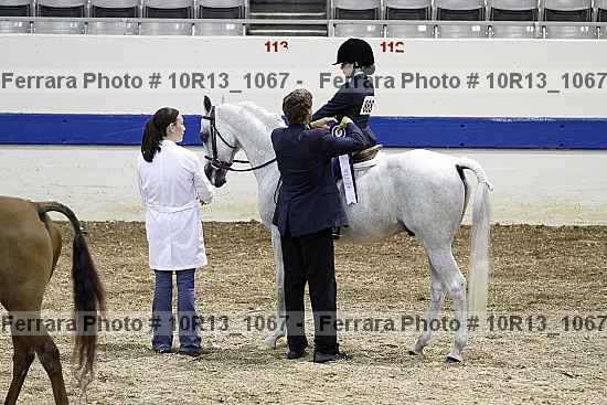 Proof Number 10r13_1067