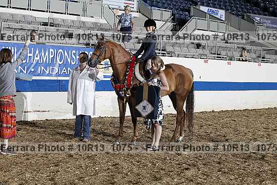 Proof Number 10r13_1075