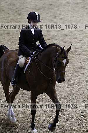 Proof Number 10r13_1078