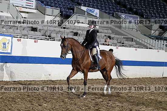 Proof Number 10r13_1079