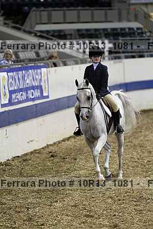 Proof Number 10r13_1081