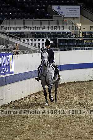 Proof Number 10r13_1083