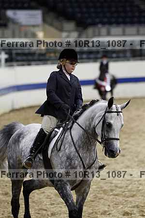 Proof Number 10r13_1087