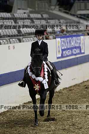 Proof Number 10r13_1088