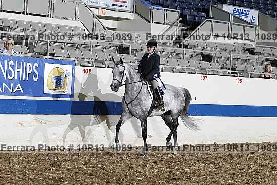 Proof Number 10r13_1089