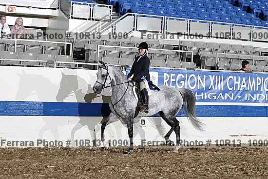 Proof Number 10r13_1090