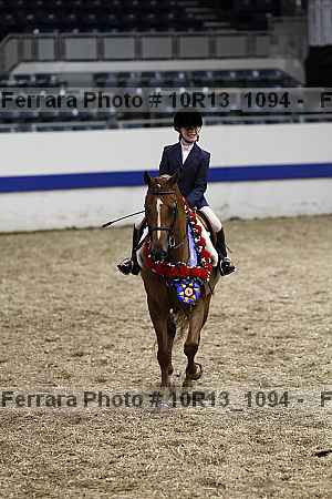 Proof Number 10r13_1094