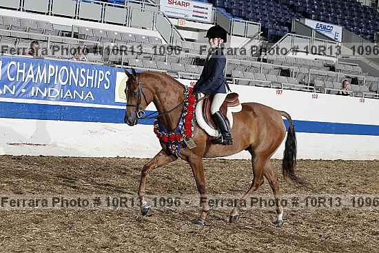 Proof Number 10r13_1096