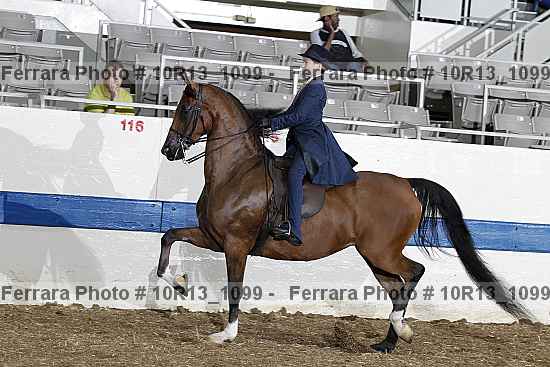 Proof Number 10r13_1099