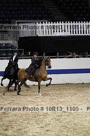 Proof Number 10r13_1105