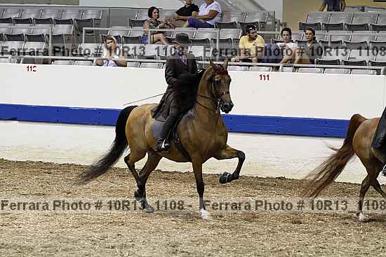 Proof Number 10r13_1108