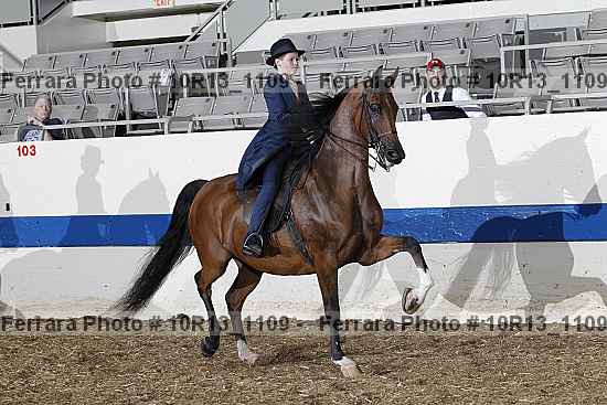 Proof Number 10r13_1109