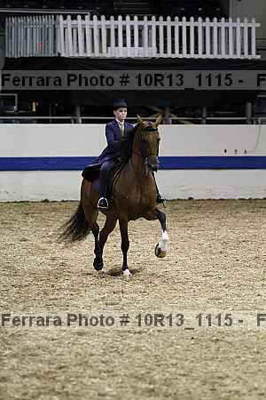 Proof Number 10r13_1115