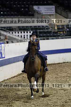 Proof Number 10r13_1121