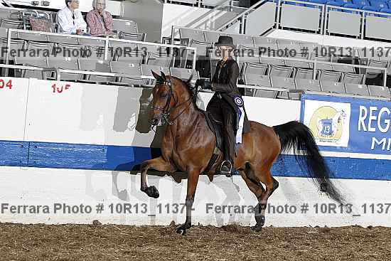 Proof Number 10r13_1137