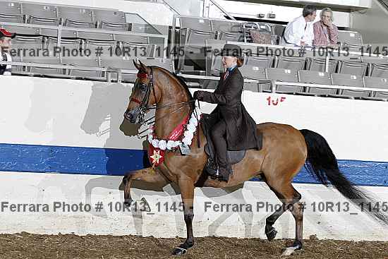 Proof Number 10r13_1145