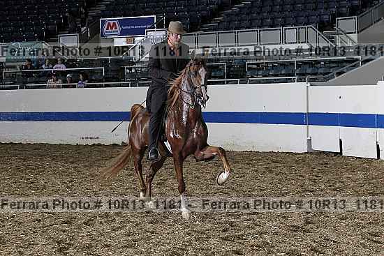 Proof Number 10r13_1181