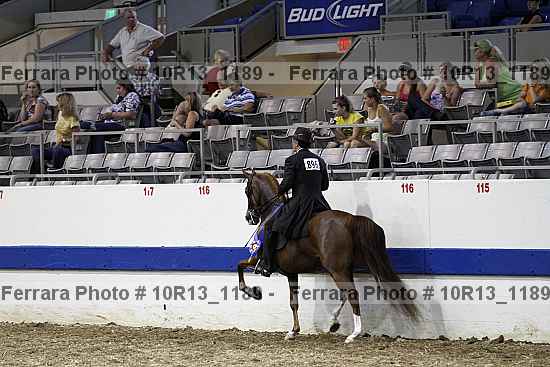 Proof Number 10r13_1189