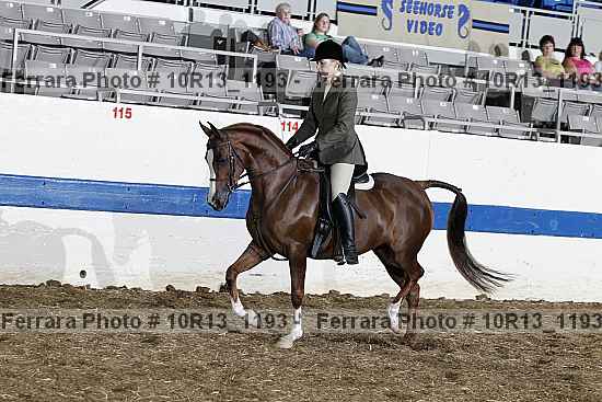 Proof Number 10r13_1193