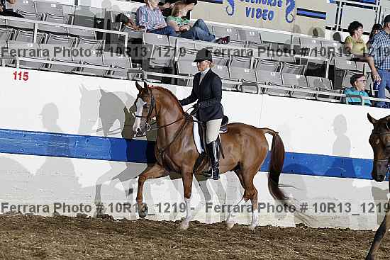 Proof Number 10r13_1219
