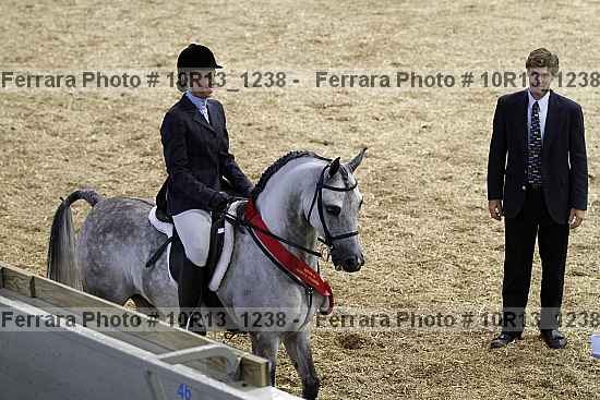 Proof Number 10r13_1238