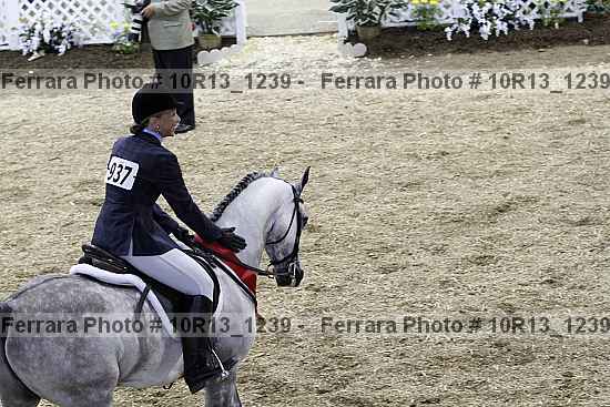 Proof Number 10r13_1239