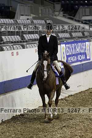 Proof Number 10r13_1247