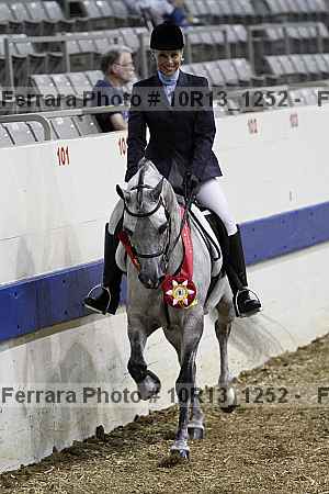 Proof Number 10r13_1252