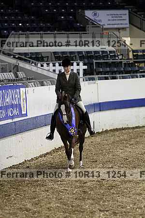 Proof Number 10r13_1254
